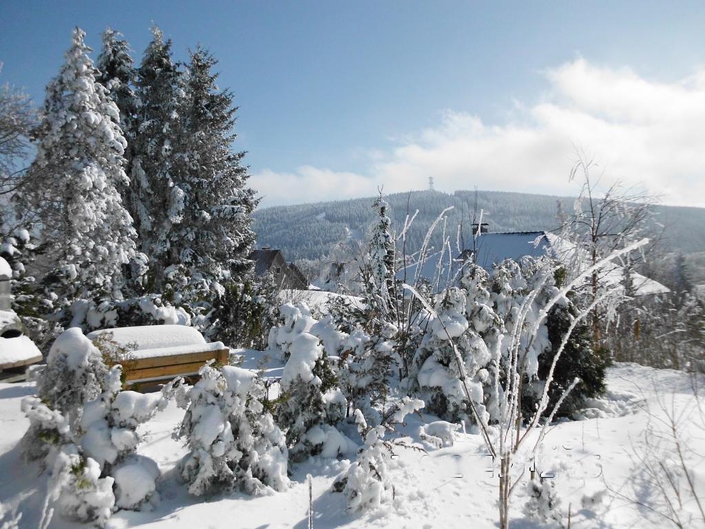 Premium-Ferienwohnungen Bergblick Im Haus Hopfe Гослар Экстерьер фото