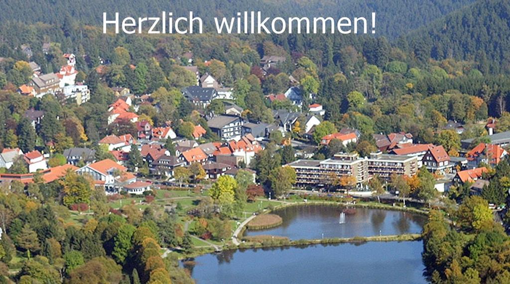 Premium-Ferienwohnungen Bergblick Im Haus Hopfe Гослар Экстерьер фото